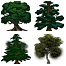 trees