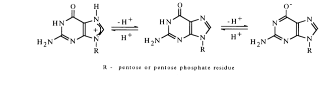 guanosine pka - guanosine 5 monophosphate