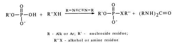 135_2.gif (9285 bytes)