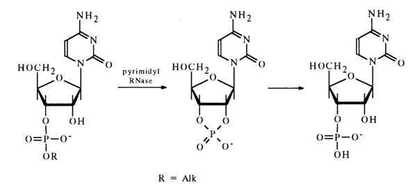 158_1.gif (16080 bytes)