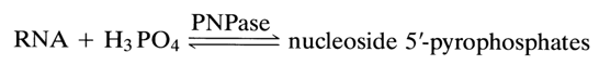 189~1.GIF (6890 bytes)