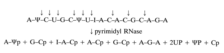 203~1.GIF (15344 bytes)