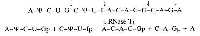 204~2.GIF (11990 bytes)