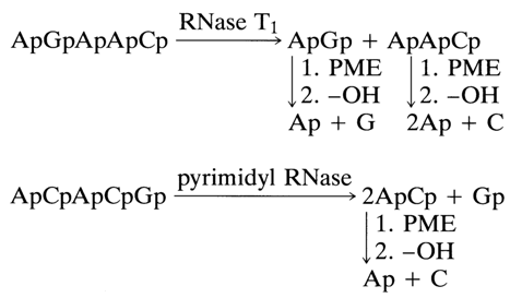 213~1.GIF (18543 bytes)