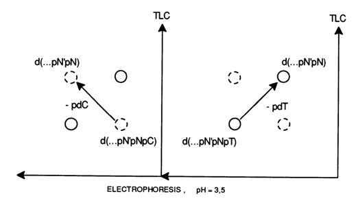 219~1.GIF (12872 bytes)