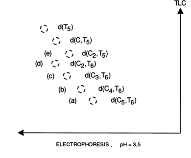 219~3.GIF (11250 bytes)