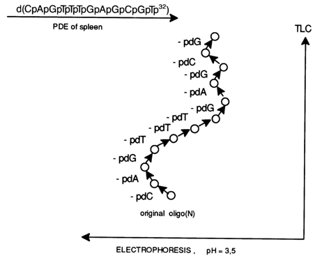 221~2.GIF (17286 bytes)