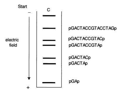 232~1.GIF (13110 bytes)