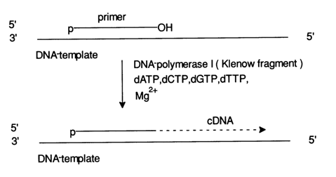 253~1.GIF (13257 bytes)