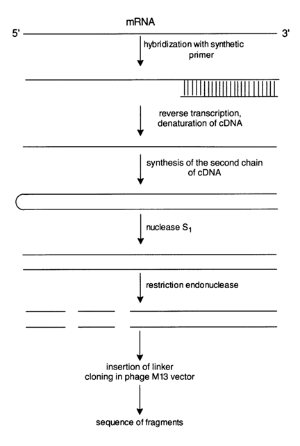 280~1.GIF (24089 bytes)