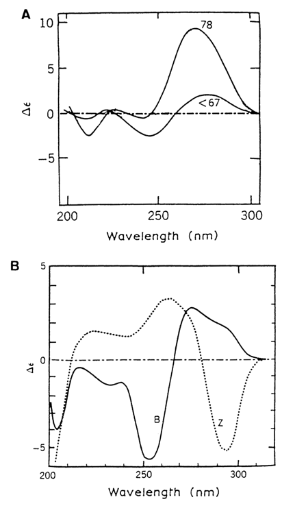 339~1.GIF (35011 bytes)