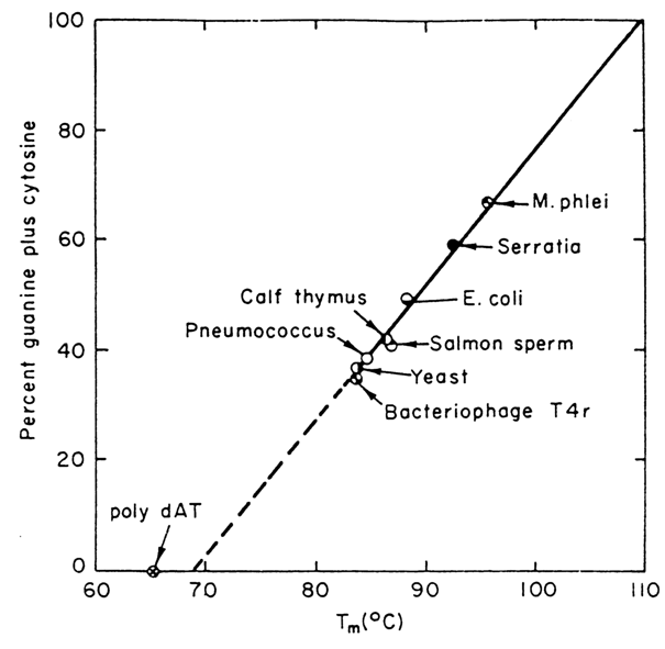 345~1.GIF (34368 bytes)