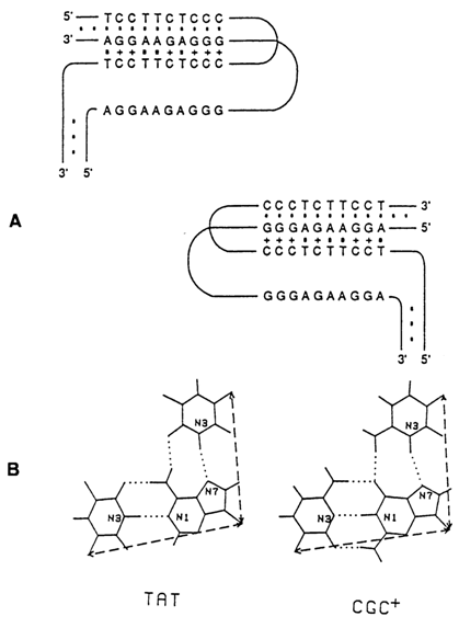 356~1.GIF (26223 bytes)