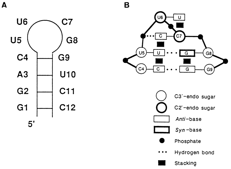 368~1.GIF (35885 bytes)