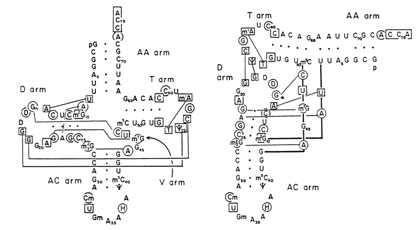 378~1.GIF (51741 bytes)