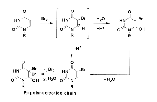 405~1.GIF (16582 bytes)