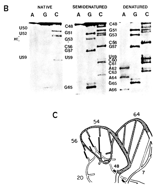 459~1BC.gif (92843 bytes)