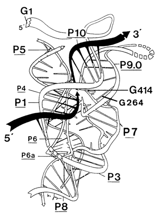 477~1.GIF (40330 bytes)