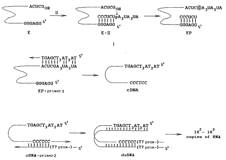 481~1.GIF (39314 bytes)