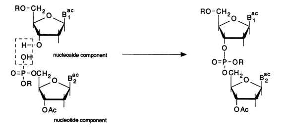 505~1.GIF (15378 bytes)