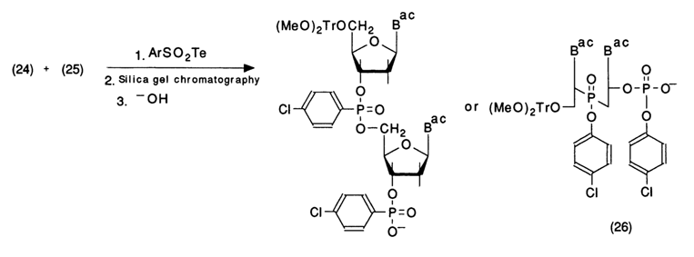 521~2.GIF (19532 bytes)