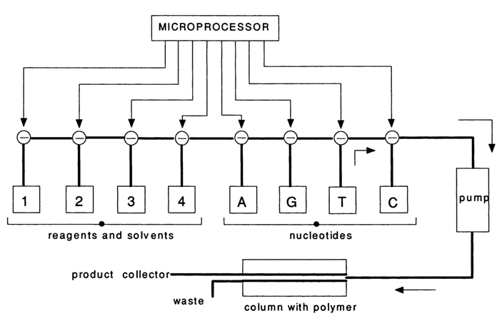 541~1.GIF (33042 bytes)