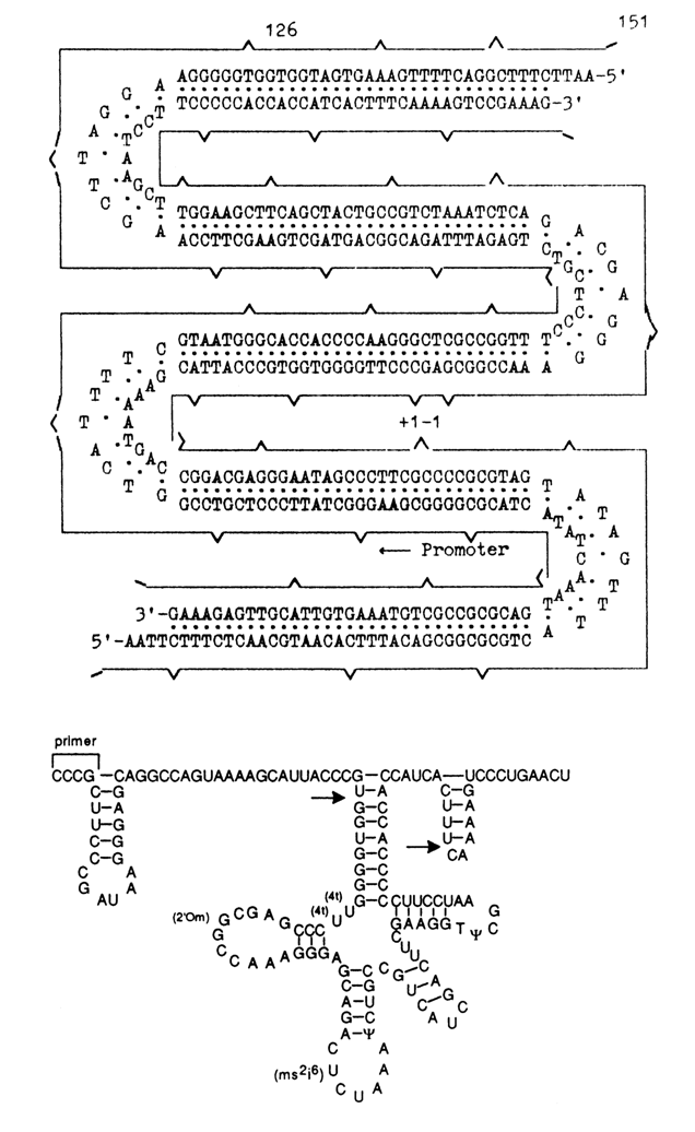 548~1.GIF (109016 bytes)