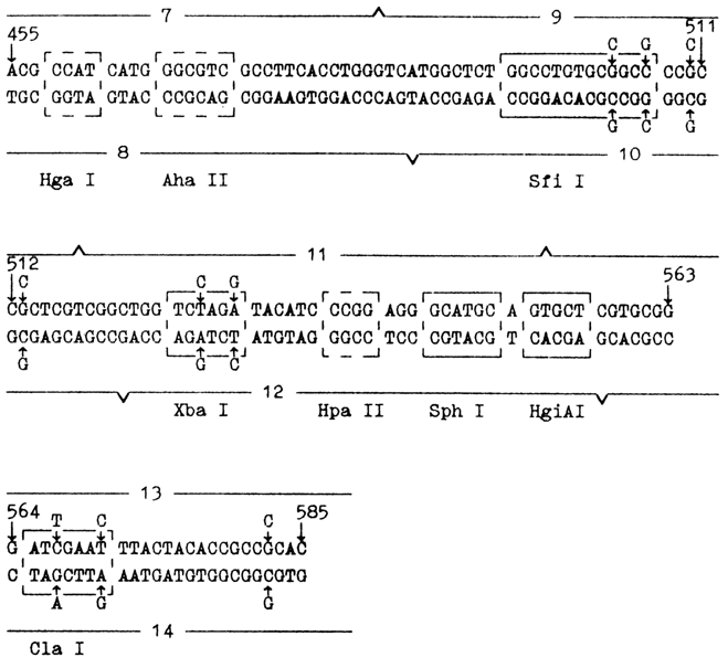 555~1.GIF (64680 bytes)