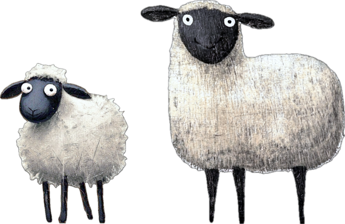 Sheep